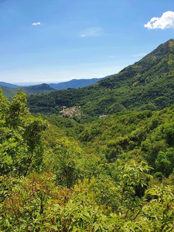 Il Bosco Di Campo Marzano Garden Apartments Borzonasca 外观 照片