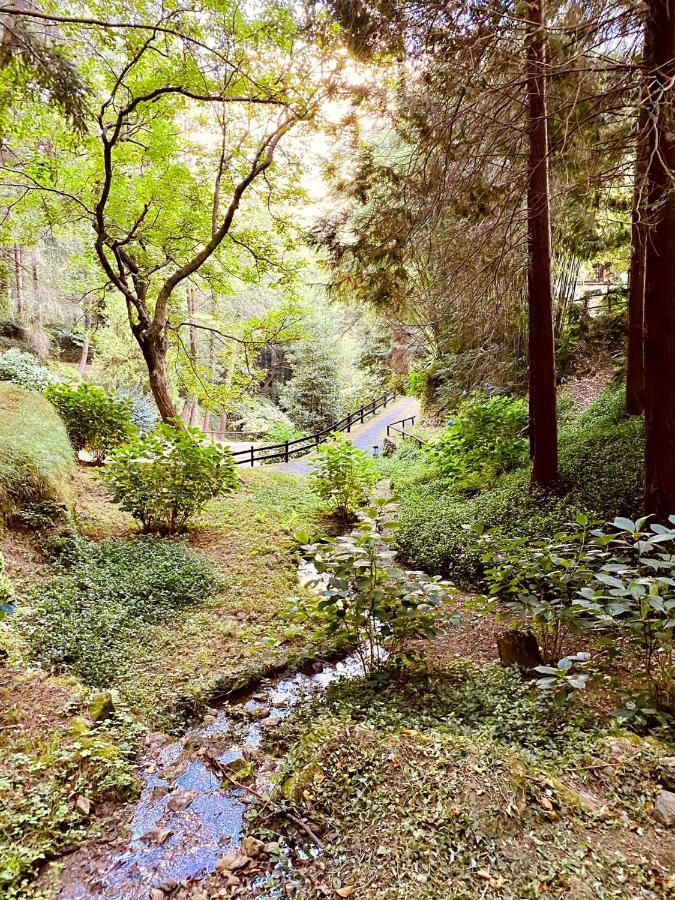 Il Bosco Di Campo Marzano Garden Apartments Borzonasca 外观 照片
