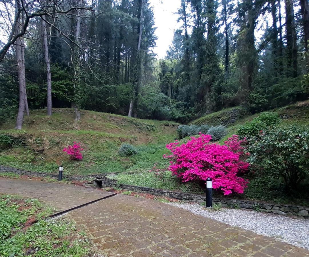 Il Bosco Di Campo Marzano Garden Apartments Borzonasca 外观 照片