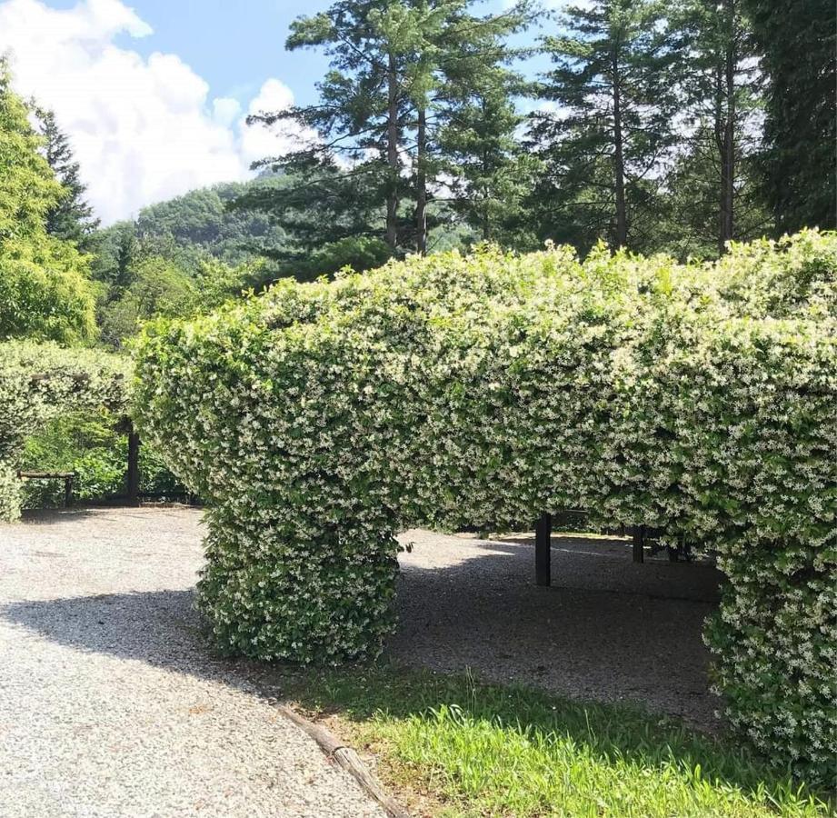 Il Bosco Di Campo Marzano Garden Apartments Borzonasca 外观 照片