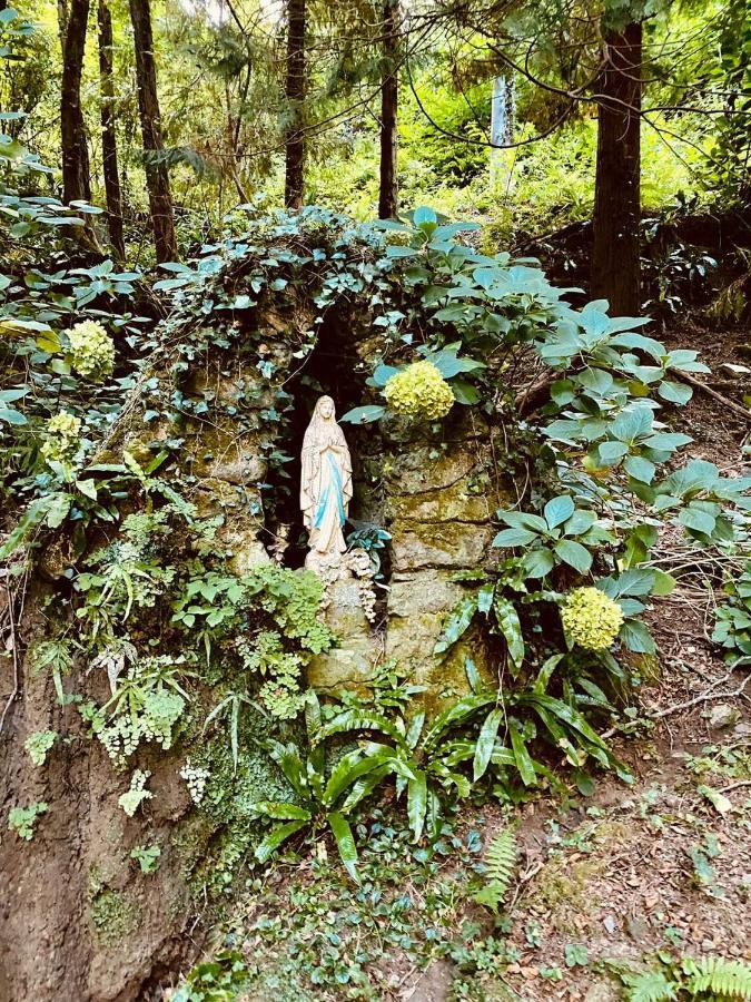 Il Bosco Di Campo Marzano Garden Apartments Borzonasca 外观 照片