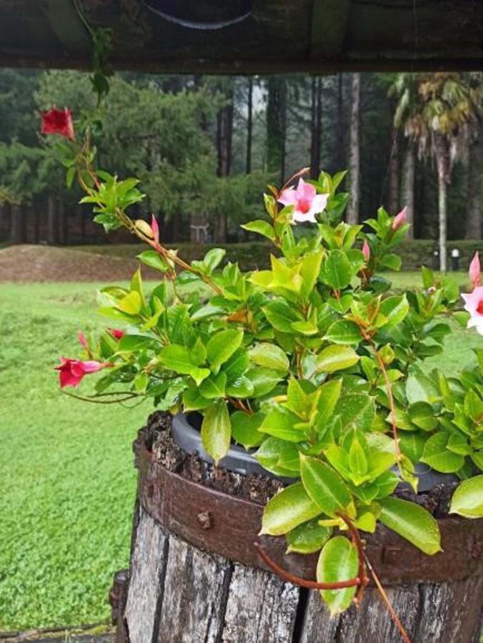 Il Bosco Di Campo Marzano Garden Apartments Borzonasca 外观 照片