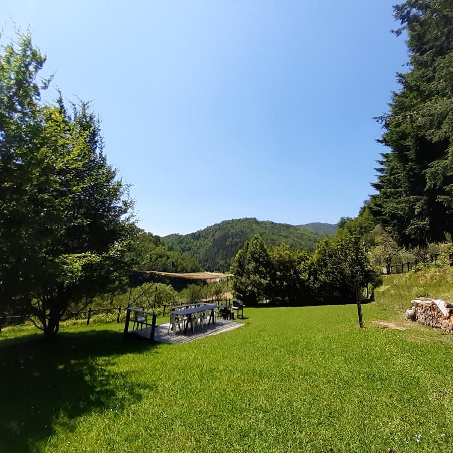 Il Bosco Di Campo Marzano Garden Apartments Borzonasca 外观 照片