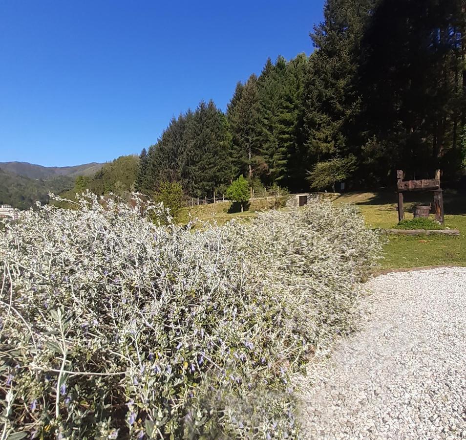 Il Bosco Di Campo Marzano Garden Apartments Borzonasca 外观 照片