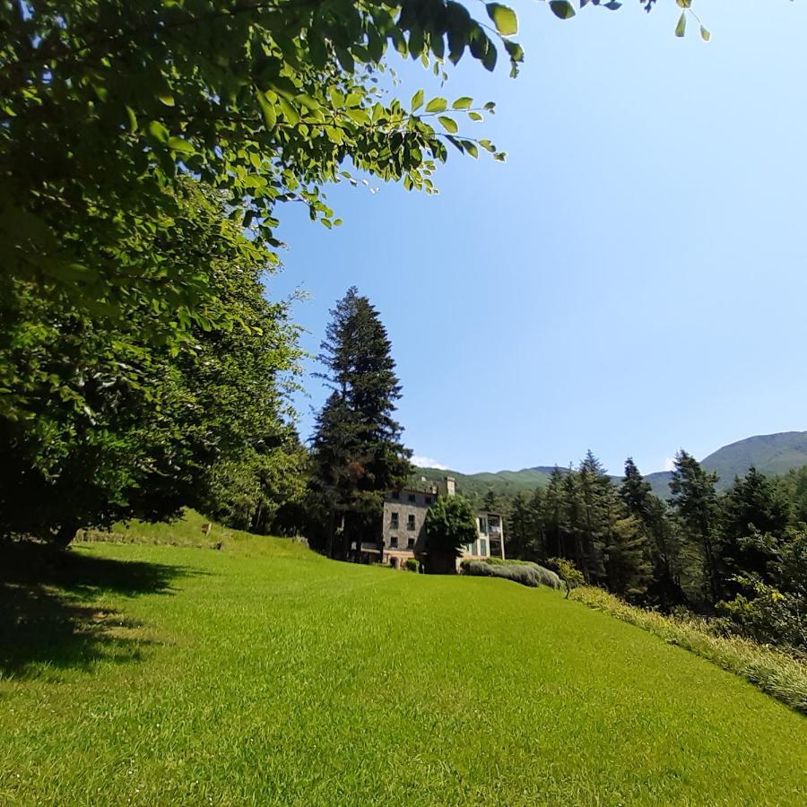 Il Bosco Di Campo Marzano Garden Apartments Borzonasca 外观 照片