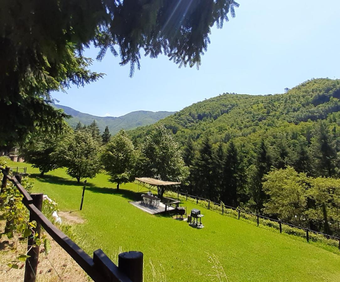Il Bosco Di Campo Marzano Garden Apartments Borzonasca 外观 照片