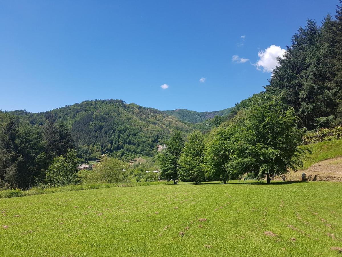 Il Bosco Di Campo Marzano Garden Apartments Borzonasca 外观 照片