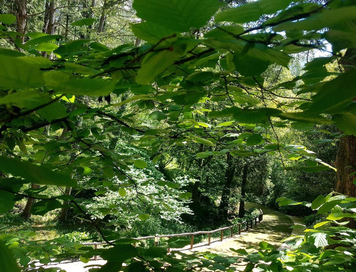 Il Bosco Di Campo Marzano Garden Apartments Borzonasca 外观 照片