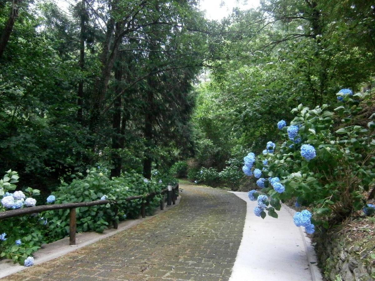 Il Bosco Di Campo Marzano Garden Apartments Borzonasca 外观 照片