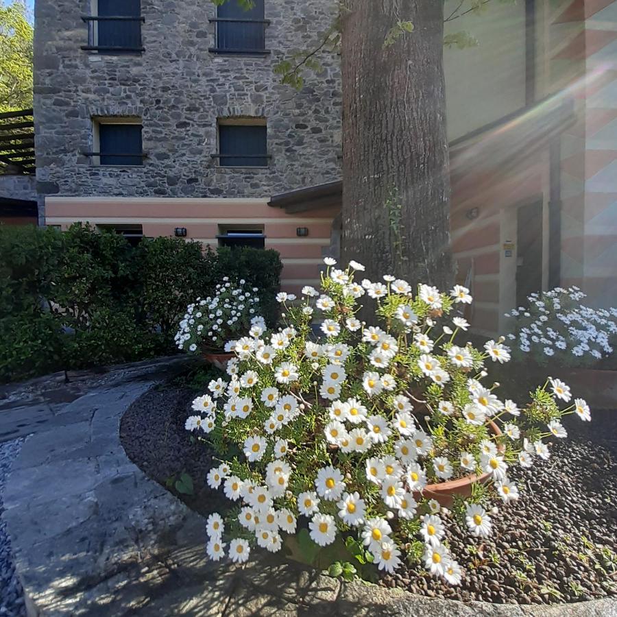 Il Bosco Di Campo Marzano Garden Apartments Borzonasca 外观 照片